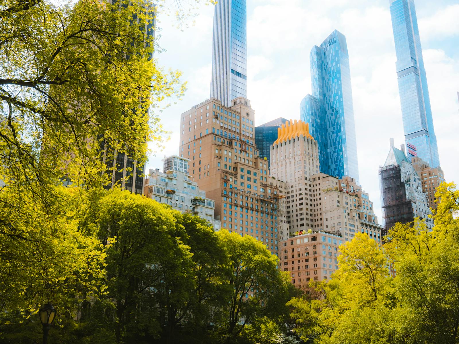 Central Park paths and trees with Manhattan skyline beyond
